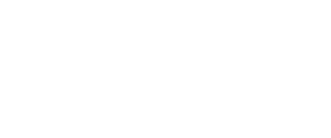 aseduradora solidaria